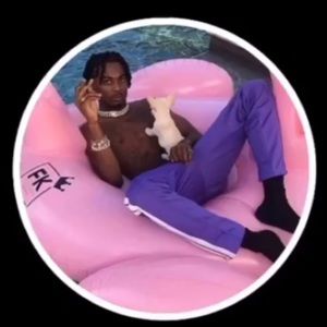 Meet your Posher, Japri